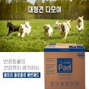 [와디즈]신제품 출시 임박!! 울트라 욜로홀로 배변패드