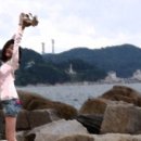 콩갈아맷돌되비지 이미지