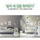 독수리 태권도장 이미지