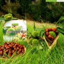 유수농장 이미지