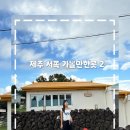 담꼬 | 제주 서쪽 가볼만한곳 2일차, 제주 당일치기 코스 (성박물관, 담꼬소품샵, 제주올레시장, 여기고씨네)