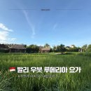 루요가 - 남양주시 별내3로 340 | 발리 우붓 요가원 추천｜루메리아 요가 직접 다녀온 후기
