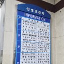 무인53 | 서현 나들이 ② 고양이카페 옆 무인 탁구장🏓 30분 만에 땀 뻘뻘