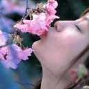먼지처럼 털어버려요 /4월 25일 톡톡수다방 끝말잇기 이미지