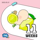 이정훈의원 | [~13w 1d 👶] 임신 태교 고민, 올해 마지막 야구 직관 ⚾️