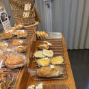 빵굽는곰 이미지