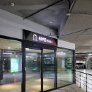 강언덕 | 프라이빗 판교 미용실 아데르헤어 여자컷+염색 후기 (강언덕 원장님)