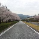 풍산주 이미지
