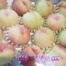 천중농장 이미지