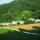 양계장농장 이미지