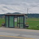 중간상사리 이미지