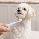 본동물메디컬센터 24시수성점 이미지