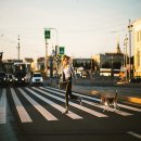 이건동물병원 이미지