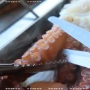 삼척여행을담다