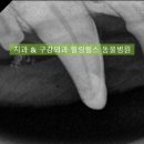 서초힐스동물병원 이미지