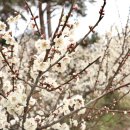 대화농장 이미지