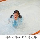 플로리다 봉봉 이미지