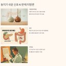 씨유후암좋아요점 | 췌장암 초기 증상, 놓치기 쉬운 5가지 신호와 대처법