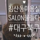 살롱물들다 이미지