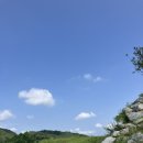 탈스테이 이미지