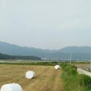 버섯공인중개사사무소 이미지