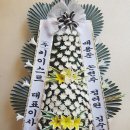 토끼꽃방 이미지