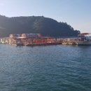 등나무민박 이미지