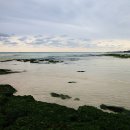 신양목장 이미지