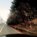 동백 태양광발전소 이미지