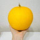 고령농장(2) | 경북 고령산 오남매농장 양구메론 3kg 솔직 후기!