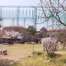 서전주유치원 이미지