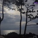 가라지하우스 | 제주도 게하 게스트하우스 숙소 펜션 가라지하우스 제주도 가라지하우스의 매력