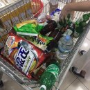 소동아이레 이미지