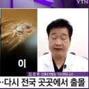 외국에서만이아닌 우리나라에서도 전국적으로 빈대에 뚫렸다!?!? 빈대 어떻게 최소한이라도 예방하지? 이미지