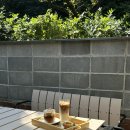 앞산 숲 속 동화나라 | 대구 앞산 카페 추천 힐링 하기 좋은 새소리 애견동반 가능 주차장 있음
