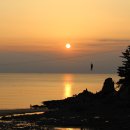 베이브리즈가족호텔 이미지