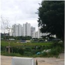 강남동로7 이미지