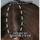 디비전 스칼프 이미지