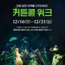 짱정보통신 | 뮤지컬 위키드 부산 내한공연 관극 후기 및 12월, 1월 이벤트 정보