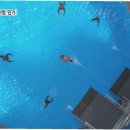 풍년수산 이미지