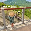 지에스25문경가은 | 문경 아이와 가볼만한 곳, 에코월드 모노레일부터 에코타운까지 하루 보내기