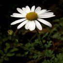 지리산에서의 하루 이미지