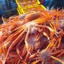 🦀 바다의 진미, 국내산 찜 자숙 돌덩이 홍게 3kg 이상!
