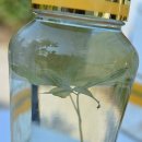 한티농장 이미지