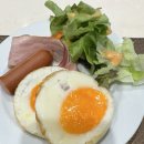 바노마트 | 태국 시밀란 리브어보드 바노라 둘째날 다이빙 및 식사 후기