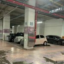 모할고양 | 일산탈모 관리(내돈내산)｜모케어 일산점｜8회차 경과 솔직 후기