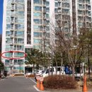 테마가있는치과의원 이미지