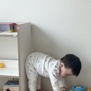 A-16 | [16개월] 돌 아기 A형 독감 후기 (증상, 검사, 치료, 격리 방법)