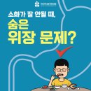 마디마디튼튼한의원 티스토리