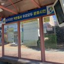 사파동221 이미지